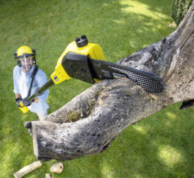 מסור מוט סוללה PSW 18-20 סוללה